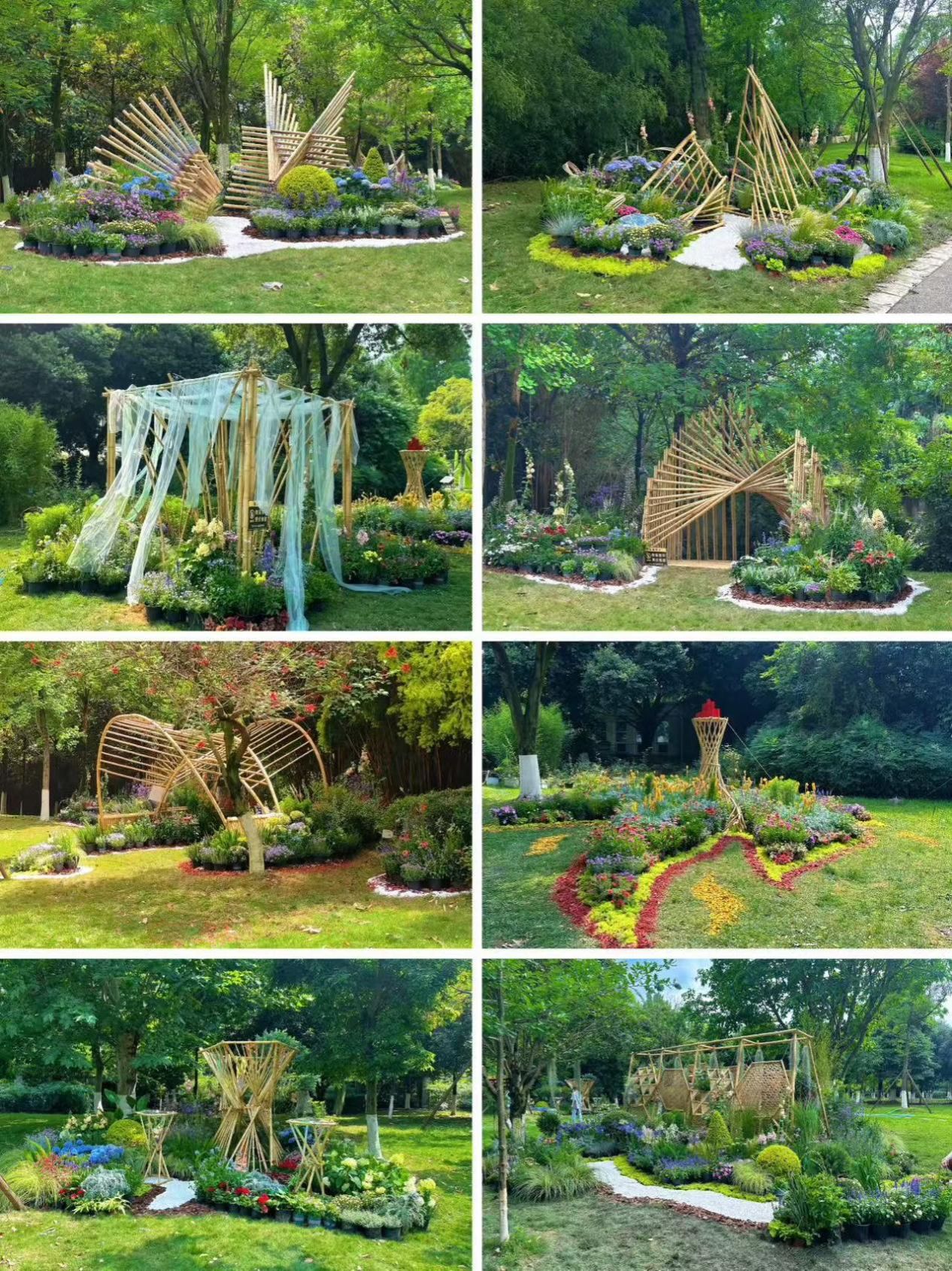 在“竹影花姿”间筑梦风景：风景园林学院联合实验教学项目探索实践育人新高度